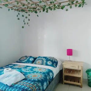 Cat Family Lodging , Cartagena Colombia